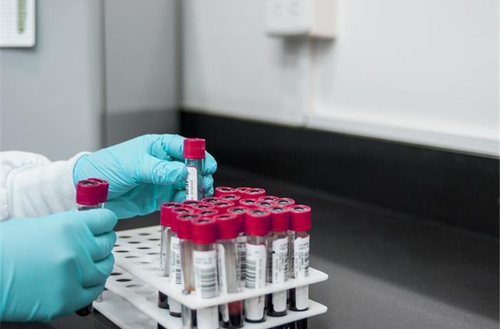 Respiratory and anesthesia machine test protocol